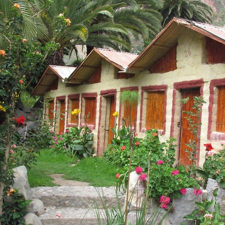 Paraiso Las Palmeras Lodge Cabanaconde Eksteriør billede