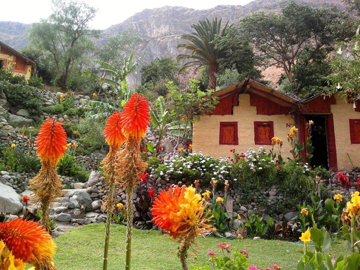 Paraiso Las Palmeras Lodge Cabanaconde Eksteriør billede