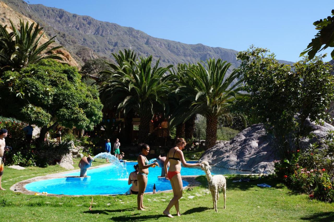 Paraiso Las Palmeras Lodge Cabanaconde Eksteriør billede