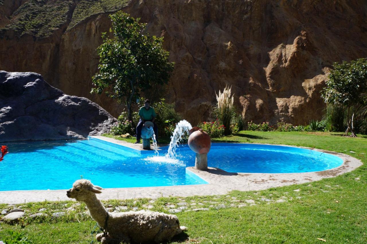 Paraiso Las Palmeras Lodge Cabanaconde Eksteriør billede