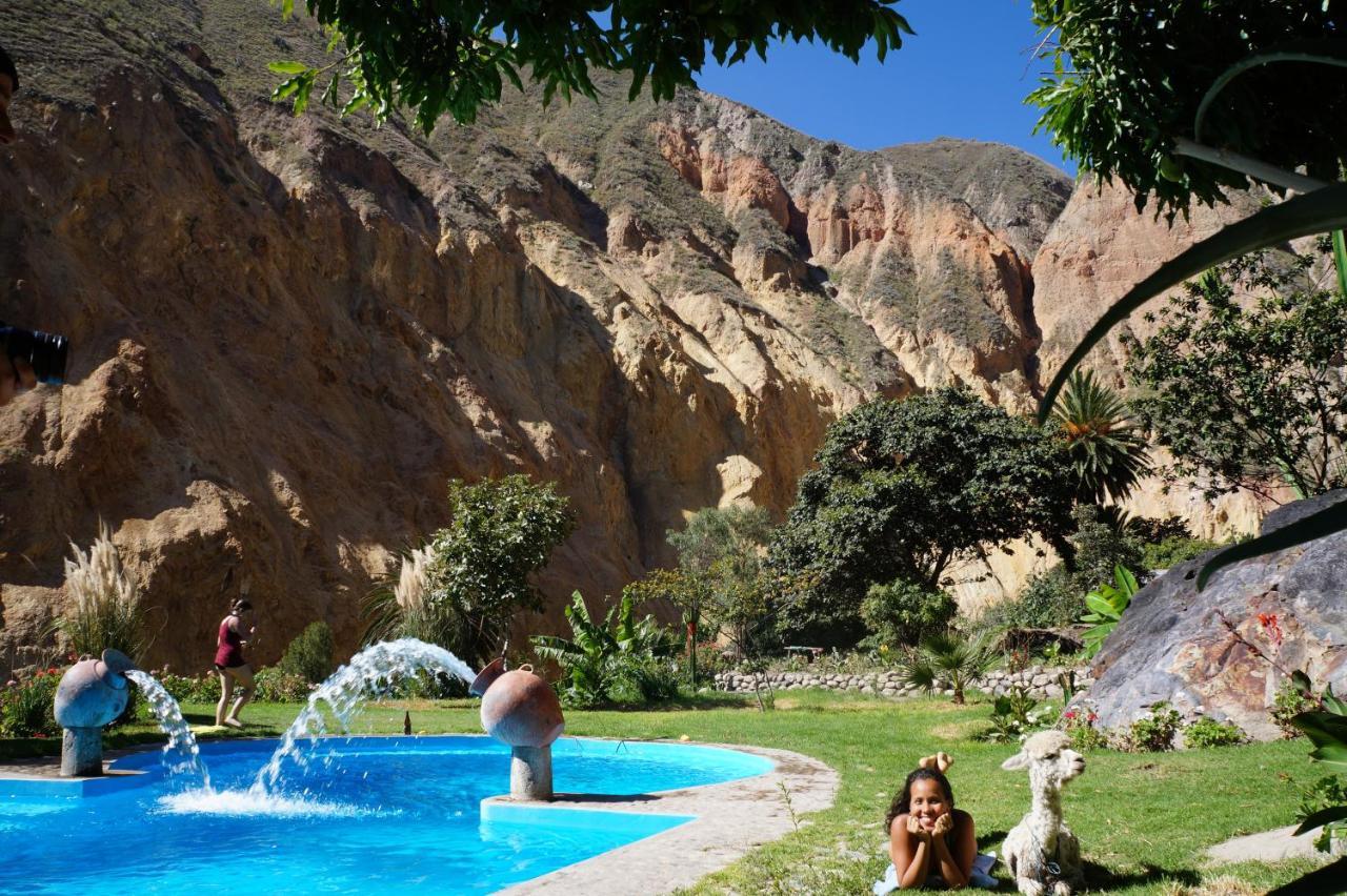 Paraiso Las Palmeras Lodge Cabanaconde Eksteriør billede