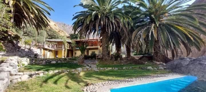 Paraiso Las Palmeras Lodge Cabanaconde Eksteriør billede