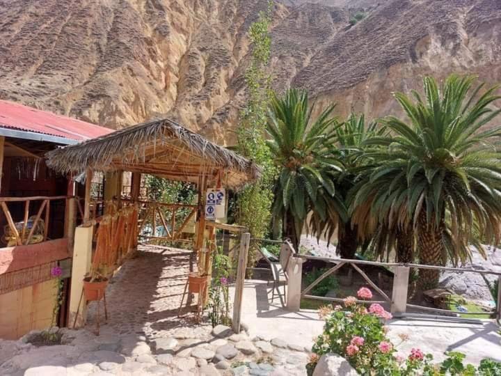 Paraiso Las Palmeras Lodge Cabanaconde Eksteriør billede